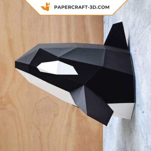 Orque en papier