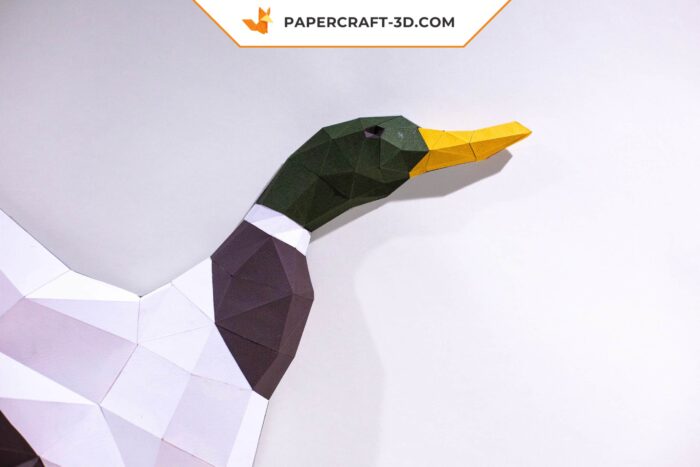 Papercraft Canard Colvert en origami papier 3D DIY