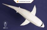 Papercraft Requin Blanc XXL en origami papier 3D à fabriquer soi-même