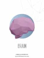 Papercraft brain sculpture in origami