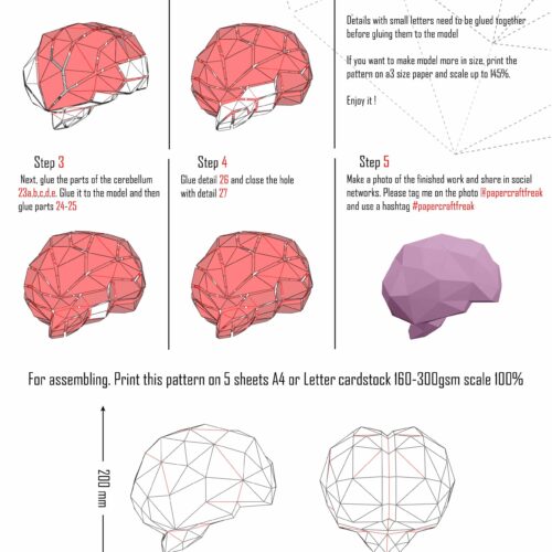 Papercraft de cerveau en origami 3D