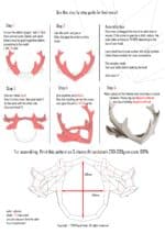 Papercraft couronne de bois de cerf en origami 3D