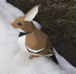 Papercraft sparrow and rabbit origami 3D