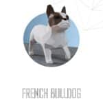 Papercraft de bulldog francês em origami 3D