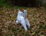 Papercraft di gatto che cammina in origami 3D