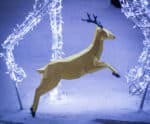 Papercraft flying deer in origami
