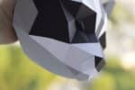 Papercraft origami 3D Waschbärenkopf