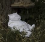 Papercraft fat cat origami template