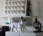 Papercraft de bulldog francês em origami 3D