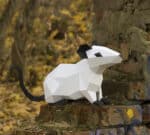 Papercraft del simbolo del capodanno cinese in origami 3D