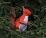Papercraft squirrel in 3D origami