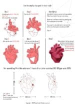 Papercraft de corazón anatómico en origami 3D