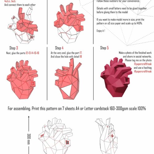 Papercraft anatomical heart origami
