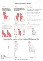 Papercraft oriental cat in origami 3D
