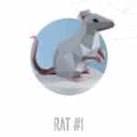 Papercraft von Ratte Maus in Origami