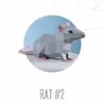 Papercraft di topo ratto in origami 3D