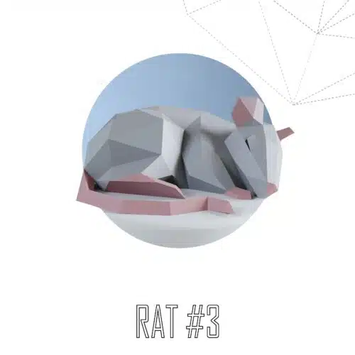Papercraft del simbolo del capodanno cinese in origami 3D