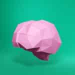 Papercraft brain sculpture in origami