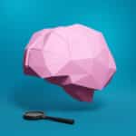 Papercraft brain sculpture in origami