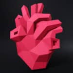 Papercraft de corazón anatómico en origami 3D