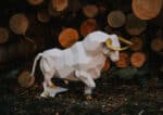 Grand taureau en papercraft 3D