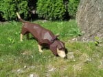 Dachshund en papercraft 3D