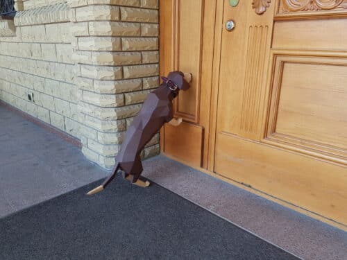 Dachshund en papercraft 3D