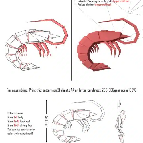 Crevette en papercraft 3D