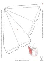 Couronne papercraft 3D Halloween