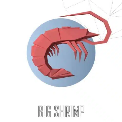 Papercraft 3D coquillage SHELL#1
