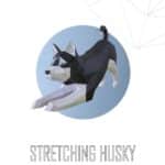 Husky en papercraft 3D