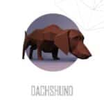 Dachshund en papercraft 3D