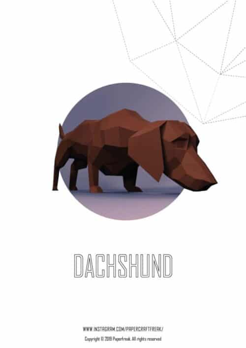 Dachshund en papercraft 3D