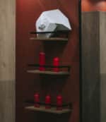 Papercraft 3D coquillage SHELL#2