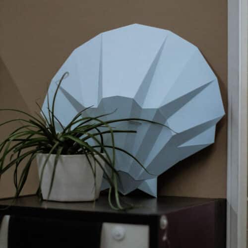 Papercraft 3D coquillage SHELL#1