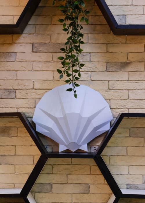 Papercraft 3D coquillage SHELL#1