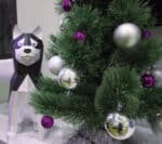 Husky en papercraft 3D