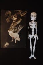 Papercraft 3D squelette Halloween