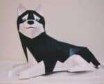 Husky allongé en papercraft 3D