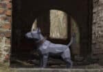 Bull terrier en papercraft 3D