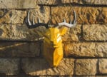 Tête de cerf en papercraft 3D