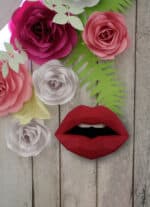 Papercraft 3D bouche rouge à assembler