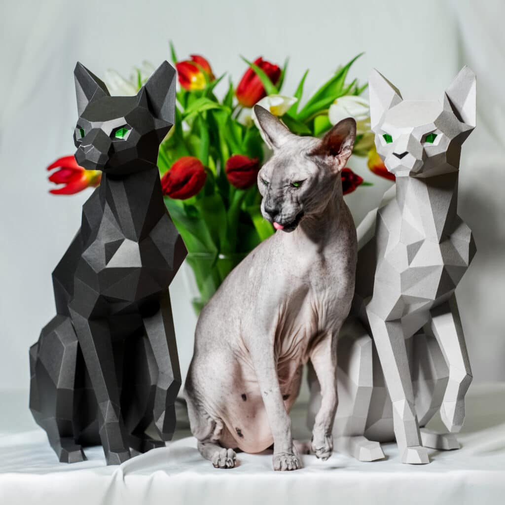 Papercraft de chat sphynx assis en origami 3D Papercraft de chat sphynx assis en origami 3D