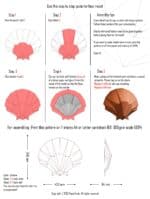 Papercraft 3D coquillage SHELL#1