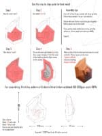 Papercraft 3D coquillage SHELL#2