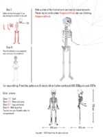 Papercraft 3D squelette Halloween