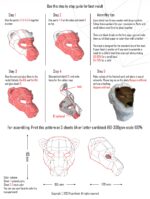 Masque loup en papercraft 3D
