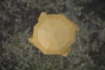 Papercraft 3D coupe de football