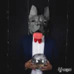 Papercraft masque de bouledogue français en origami